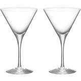 Cocktailglas Orrefors More Martiniglas 19 Cocktailglas
