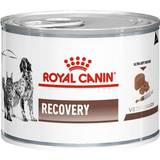 Burkar - Hundar Husdjur Royal Canin Recovery 12x195g