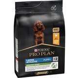 Purina Hundar - Nötkött Husdjur Purina Large Athletic Puppy Healthy Start Chicken Dry Dog Food 3kg