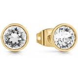 Guess Örhängen Guess Ladies Gold Plated 8mm Clear Solitaire Stud Earrings UBE02159YG