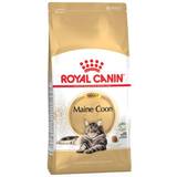 Royal Canin Katter - Kattfoder Husdjur Royal Canin Maine Coon Adult 4kg