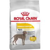 Royal Canin Havre Husdjur Royal Canin Maxi Dermacomfort 12kg