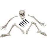 Skelett - Vit Tillbehör Europalms Halloween Skeleton, multipart