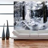 Artgeist Fototapet av en snöfylld skog Flera storlekar