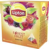 Jordgubb Drycker Lipton Forest Fruit Black Tea 20st 1pack