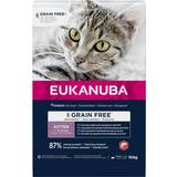 Eukanuba Fosfor - Katter Husdjur Eukanuba 2 10 Grain Free Rich in Salmon sparpris!