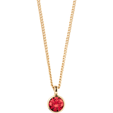 Dyrberg/Kern Smycken Dyrberg/Kern Ette Necklace - Gold/Red