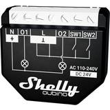 Dimmers & Drivdon Shelly Qubino Wave 2pm