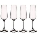 Villeroy & Boch Glas Villeroy & Boch Ovid Champagneglas 25cl 4st