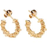 Pico Astrid Hoops - Gold