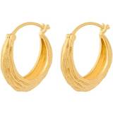 Örhängen Pernille Corydon Coastline Earrings - Gold