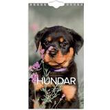 Hundkalender Burde Väggkalender 2024 Liten Hundkalender