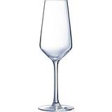 Arcoroc Champagneglas Arcoroc N5082 Vina Juliette Champagneglas 6st