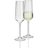 Plast Champagneglas Flamefield Savoy 2-pack Champagneglas