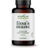 Bättre hälsa Vitaminer & Kosttillskott Bättre hälsa Lion's Mane 30g