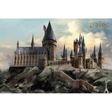 Inredningsdetaljer Harry Potter Official Hogwarts Poster