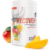 D-vitaminer Kolhydrater XLNT Sports 2 stk Recovery Mango