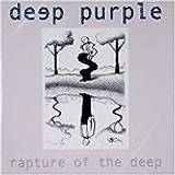 Soul & RnB Musik Deep Purple: Rapture of the deep 2005 (Vinyl)