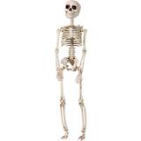 Skelett Tillbehör Panduro Hobby Litet Hängande Skelett