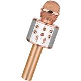 Guld Karaoke Microphone With speaker and Bluetooth