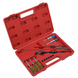 Högtrycks- & Hetvattentvättar Sealey Cleaning Brush Set Injector Bore 14pc