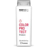 Framesi Schampon Framesi New Morphosis Hair Treatment Line Color Protect Shampoo 250ml
