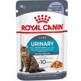 Royal Canin Burkar - Katter Husdjur Royal Canin FCN Urinary Care Jelly