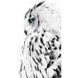 Malerifabrikken White owl Poster