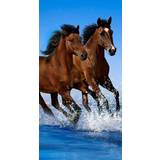 Badlakan Licens Badhandduk Hästar Härligt mjuk kvalitet Badlakan (140x70cm)