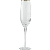 Lene Bjerre Glas Lene Bjerre Claudine Clear-light Champagneglas