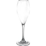 Gimex Glas Gimex Royal Camping 23cl Champagneglas 2st