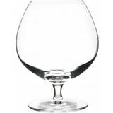 Stölzle Glas Stölzle Lausitz 1030018 COGNAC Drinkglas