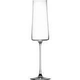 Ichendorf Milano Kökstillbehör Ichendorf Milano Manhattan Flute Champagne Glass 25cl