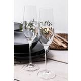 Maxwell & Williams Glas Maxwell & Williams Vino Set Champagne Glass