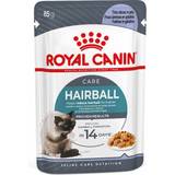 Royal Canin Burkar - Katter Husdjur Royal Canin FCN Hairball Care Jelly