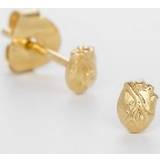 Björg Jewellery Örhängen Anatomiskt Hjärta Mini Guld