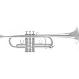Roy Benson Trumpeter Roy Benson TR-402C C Trumpet