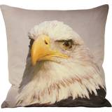 Riva Home Hemtextil Riva Home Animal Eagle Cushion Cover 45x45cm Multi
