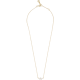 Snö of Sweden Halsband Snö of Sweden Copenhagen chain neck Gold/clear-42cm