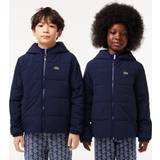 Lacoste Ytterkläder Lacoste Puffer Jacket with Name Tag years Navy Blue