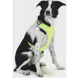 Equisafety Husdjur Equisafety 2022 LED Flashing Hi-Vis Reflective Dog Harness
