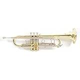 Roy Benson Trumpeter Roy Benson TR403 Bb Trumpet, Lacquer