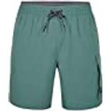 O'Neill Herr Shorts O'Neill All Day 17" Hybrid Shorts Shorts, Man, 15047 North Atlantic