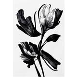 Pelcasa Black Flower Poster 70x100cm