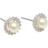 Lily and Rose Ringörhängen Smycken Lily and Rose Colette pearl stud earrings Ivory Örhängen Dam Silver