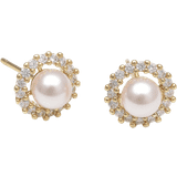 Lily and Rose Smycken Lily and Rose Colette pearl stud earrings Örhängen Dam Guld