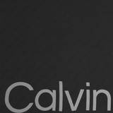Calvin Klein Elastan/Lycra/Spandex Accessoarer Calvin Klein Logo Jacquard Scarf BLACK One