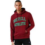 Russell Athletic Badshorts Kläder Russell Athletic Iconic Twill Hoodie Purple