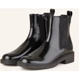 Lack Ankelboots HOGL Edward Ankle boots Black
