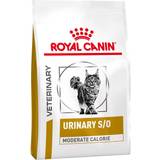 Royal Canin Katter - Natrium Husdjur Royal Canin Urinary S/O Moderate Calorie 3.5kg